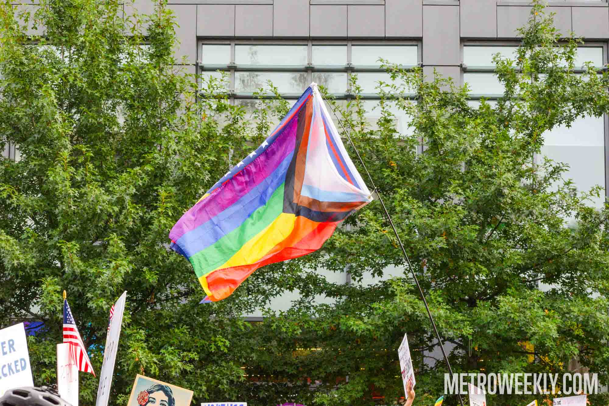 #138 of 147 : 2025-10-23_3013_178491.jpg