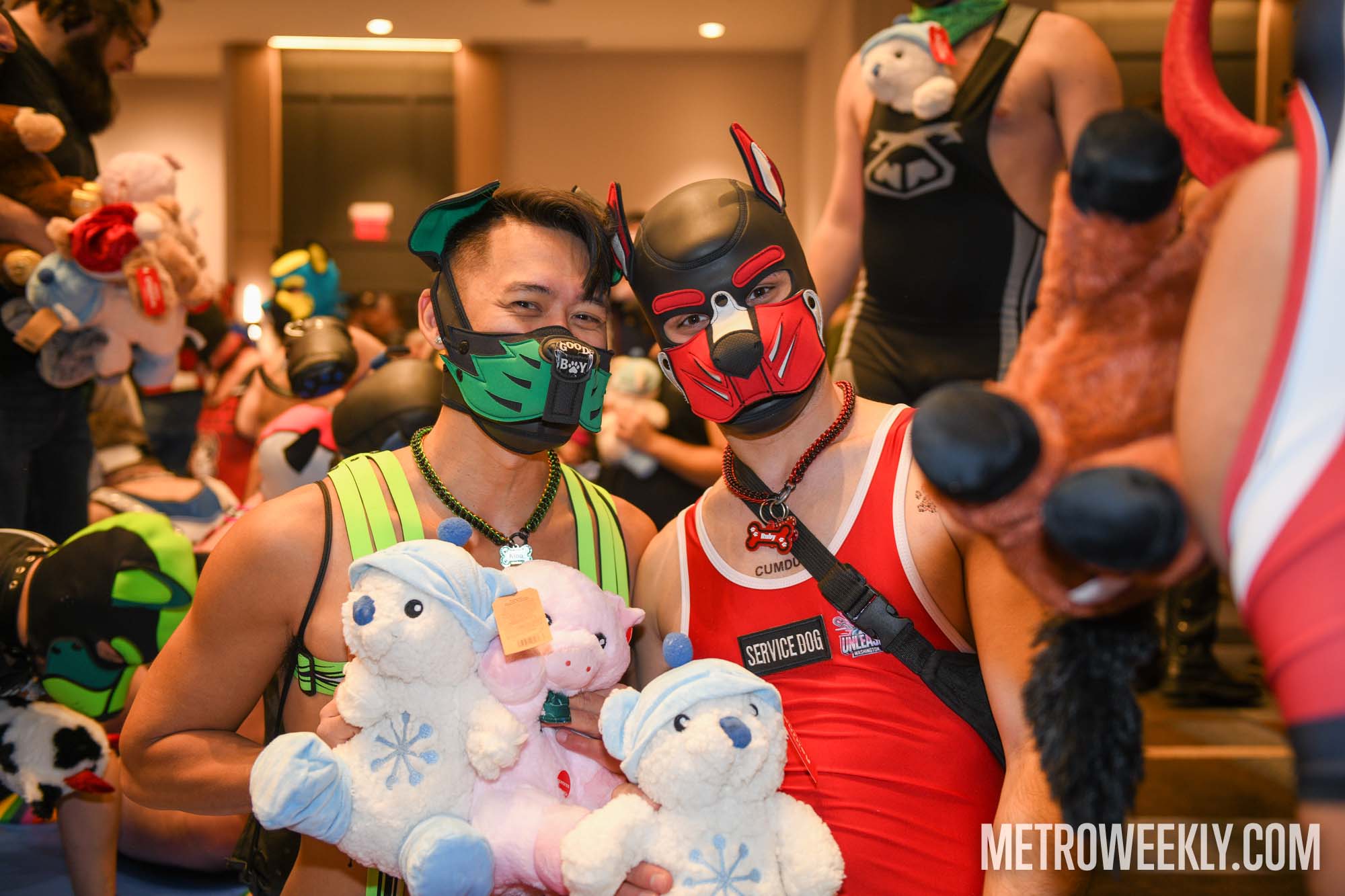 #17 of 168 : 2026-01-23_3027_179233.jpg