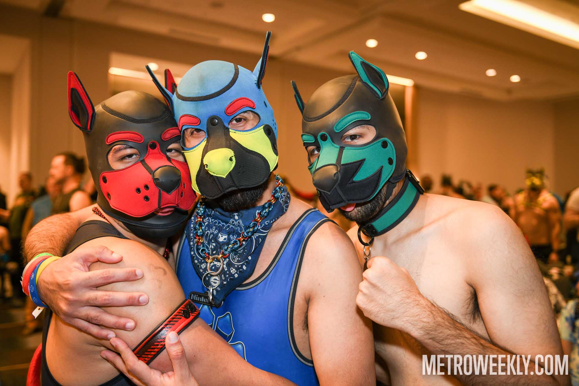 #19 of 168 : 2026-01-23_3027_179235.jpg