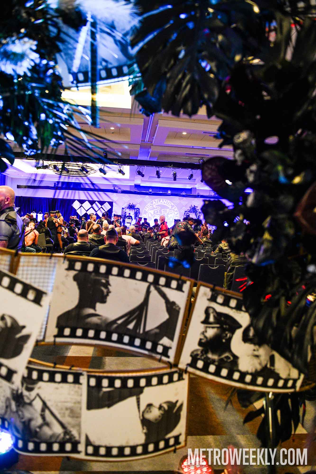 #89 of 94 : 2026-01-23_3028_179473.jpg